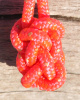 Polyester Rose 2