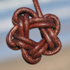 Cuir teinté chocolat